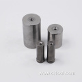 Tungsten Carbide Die For Screw